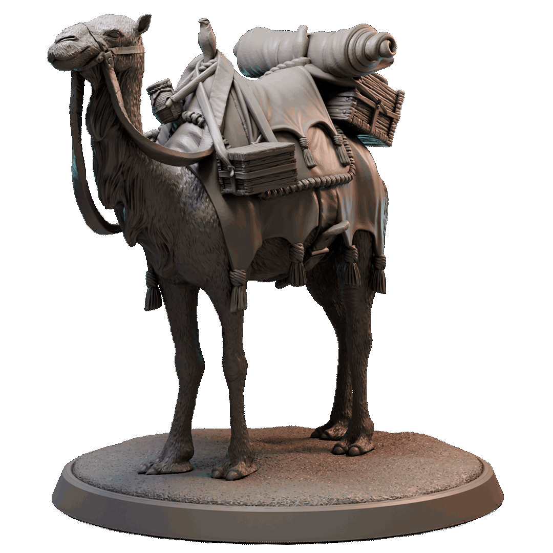 Loot Studios – Camel