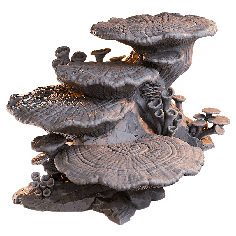 Loot Studios – Fungi Stairway